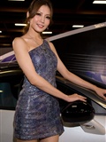 3 Int l Auto Show(20)